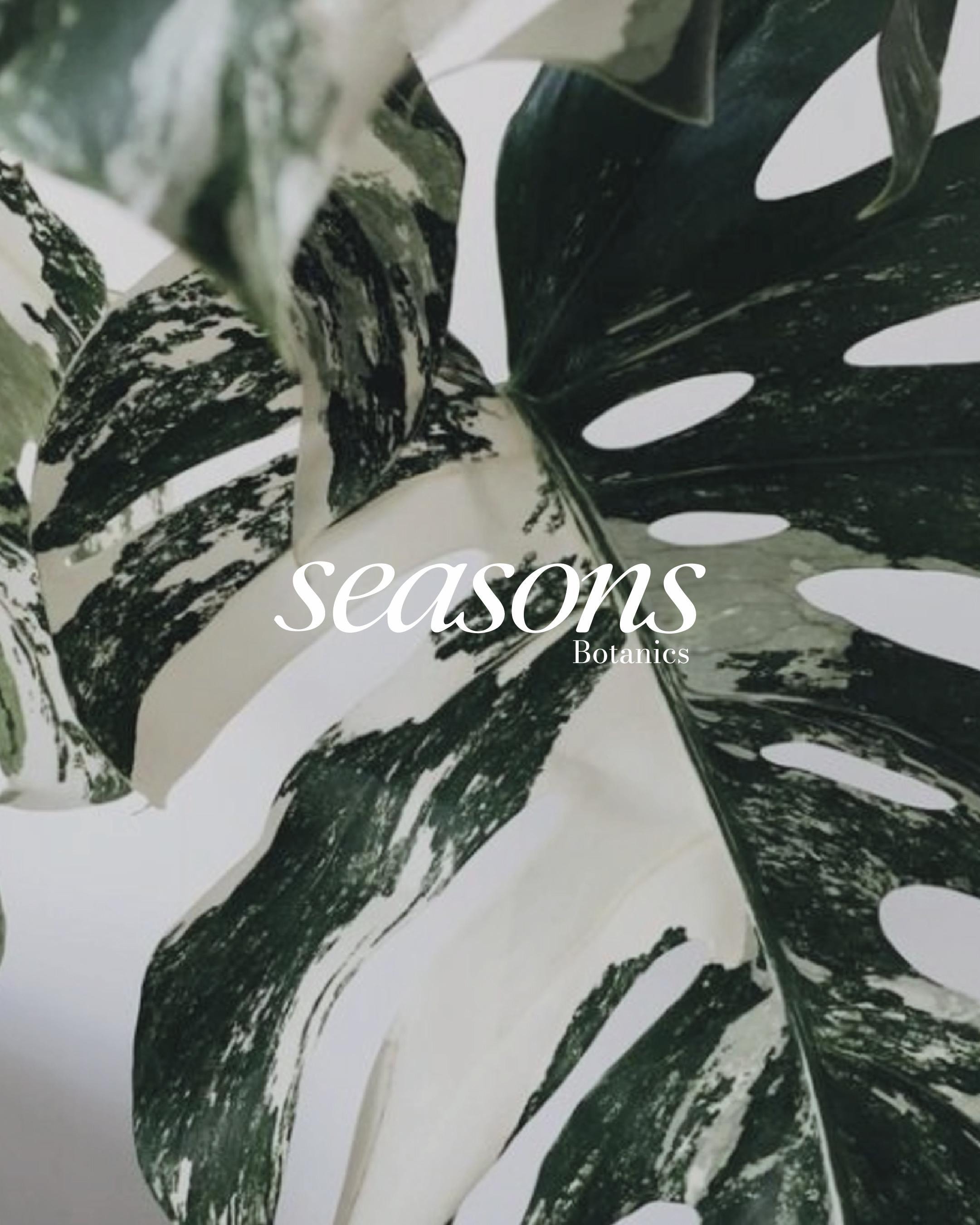 Botanical detail — Seasons Botanics