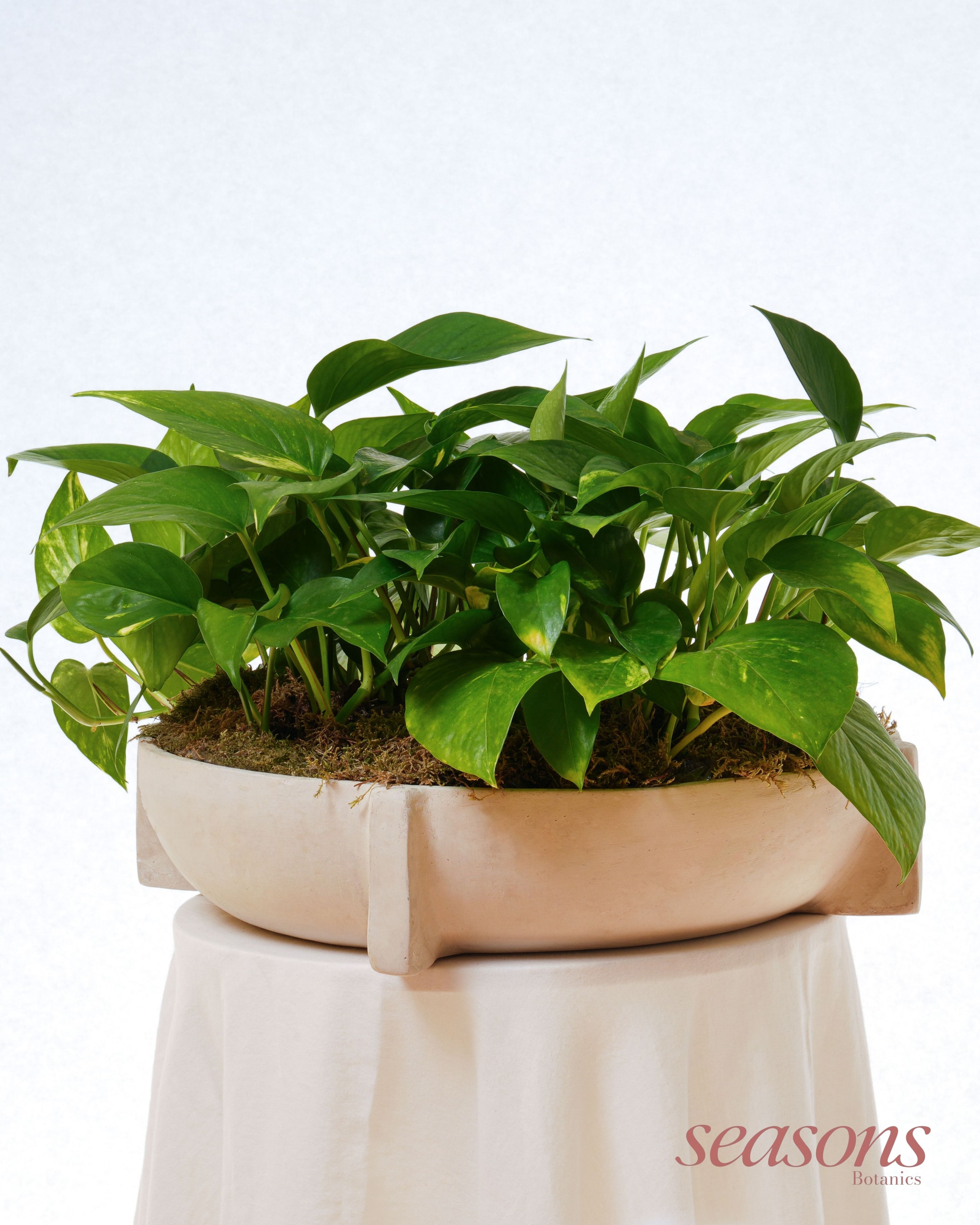 The Green Bowl