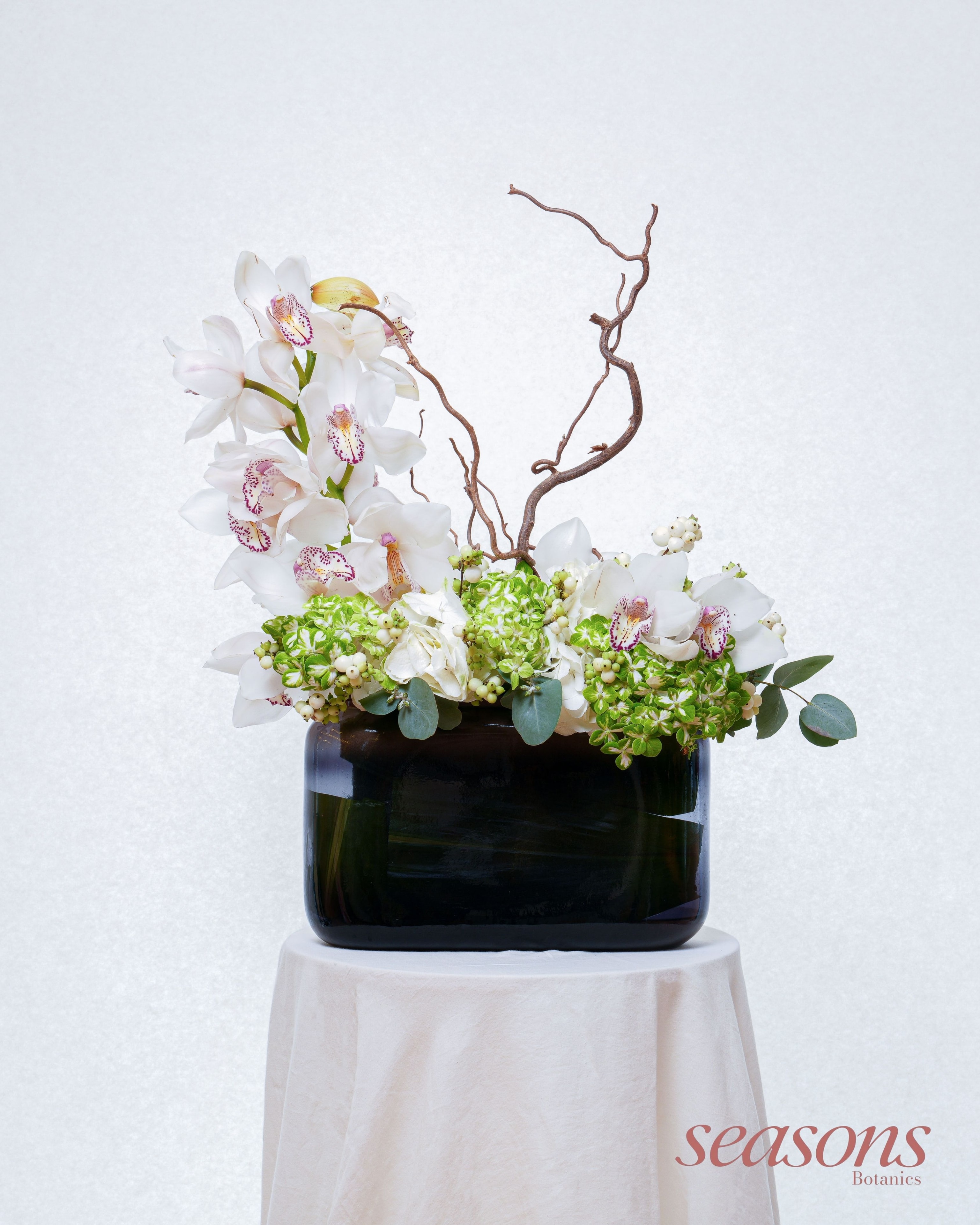 Orchid Garden