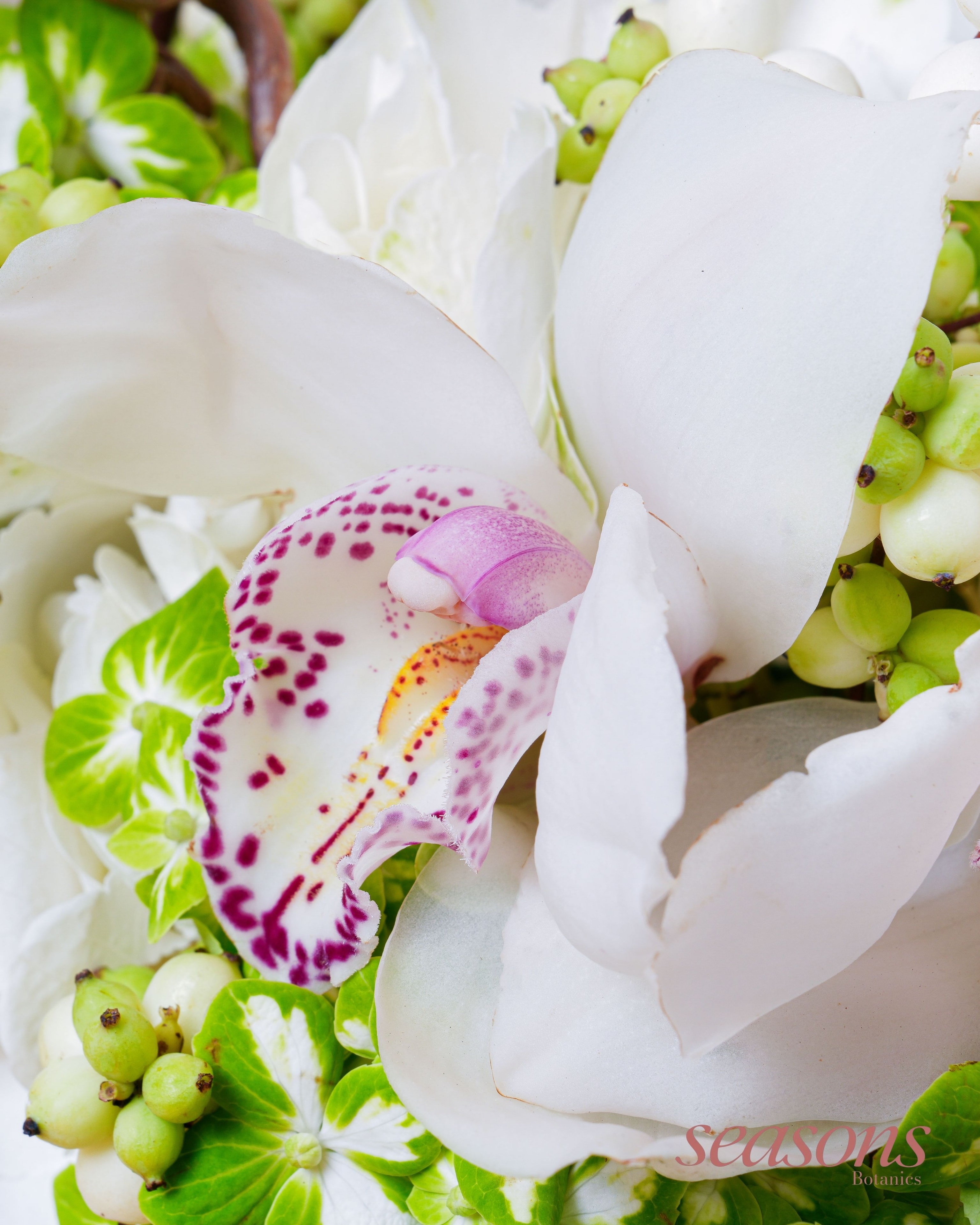Orchid Garden view 3